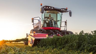 MF WR265 Windrower in a field at dusk